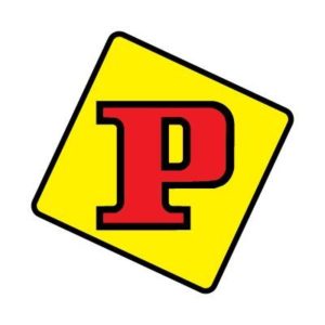 Panini logo - alternate